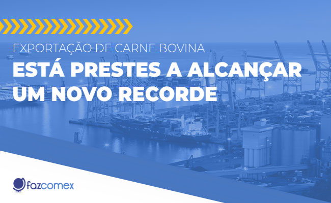 Exportação de carne bovina está prestes a alcançar um novo recorde
